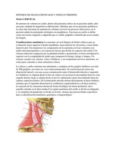 Enfoque de masas cervicales y nódulo tiroideo