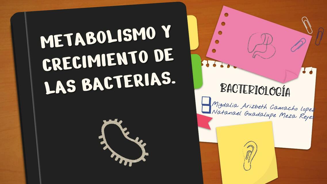 Bacteriología 