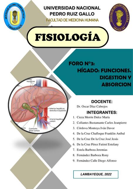 Foro N°3 Hígado: Funciones. Digestión y absorción