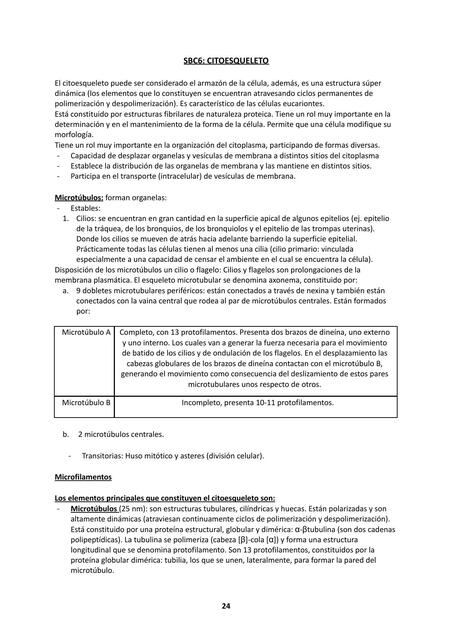 SBC6: Citoesqueleto