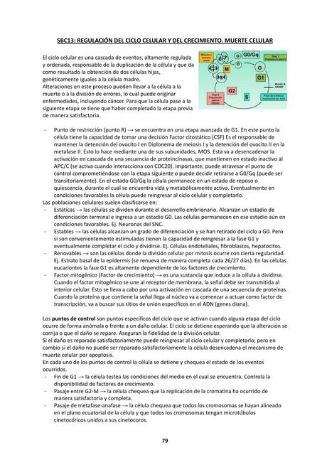 SBC 13: Regulación del ciclo celular y del crecimiento, muerte celular