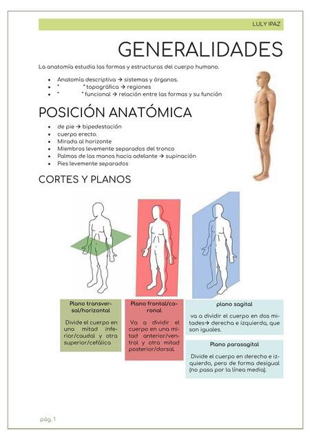 Generalidades de anatomía