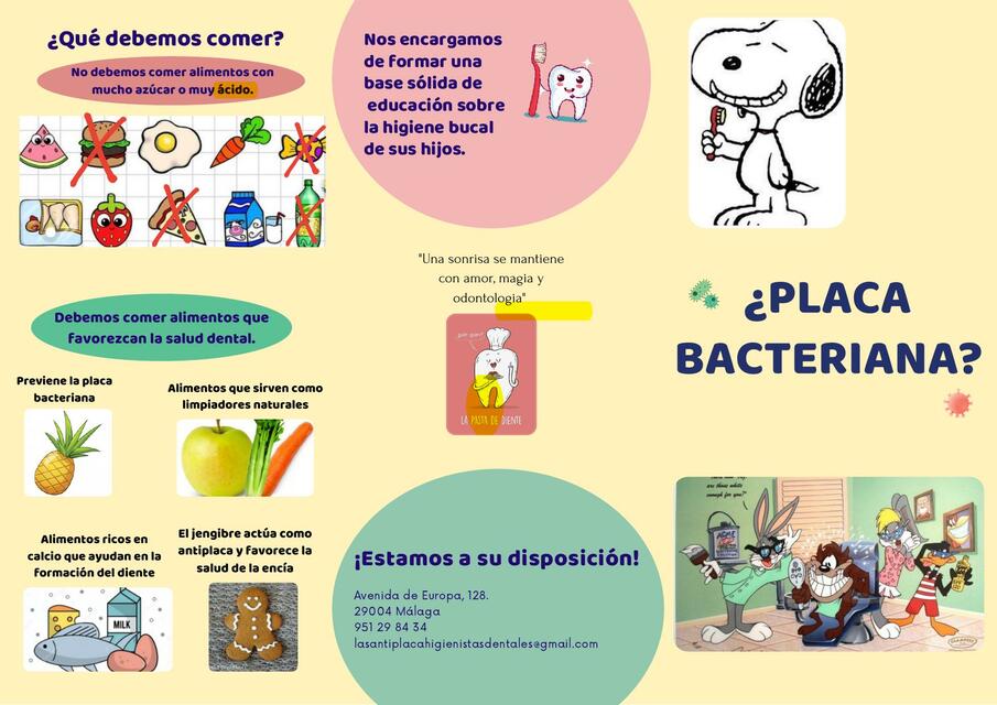 Placa bacteriana 