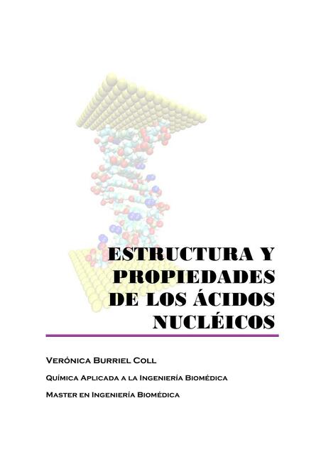 Ácidos Nucleicos 