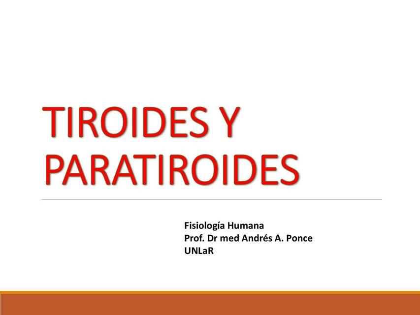 Tiroides y paratiroides