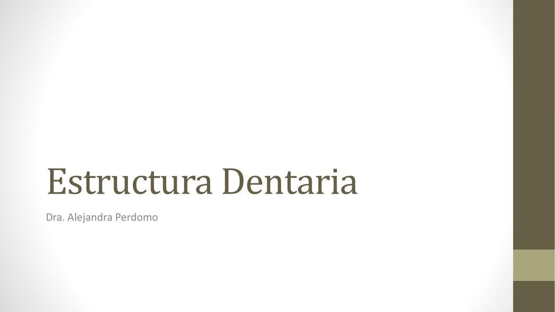 Estructura Dentaria 