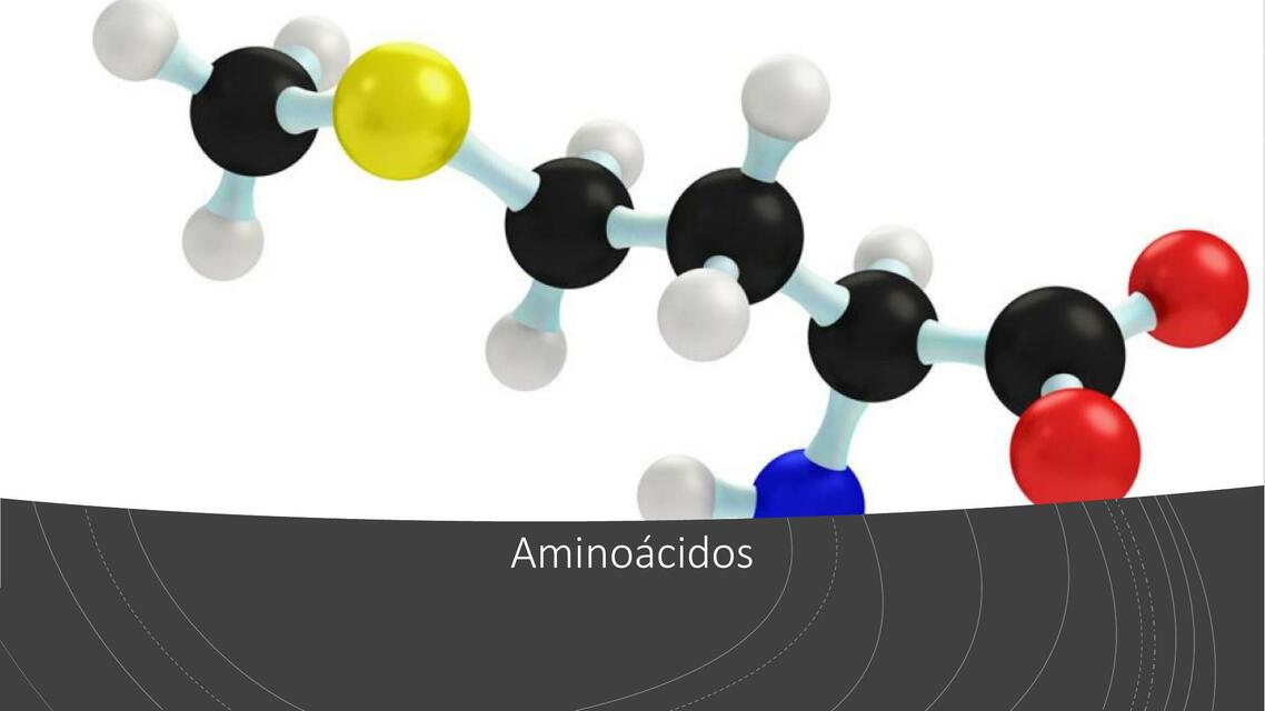 Aminoácidos