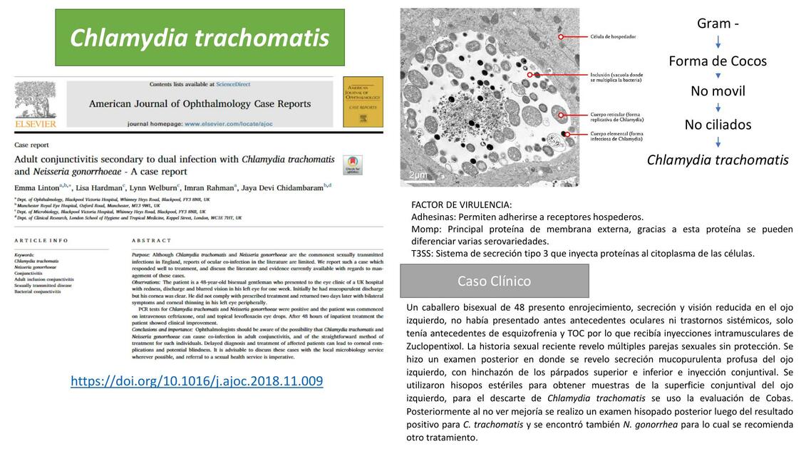 Chlamydia Trachomatis