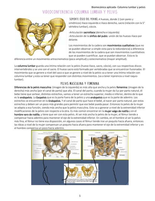 Videoconferencia Columna lumbar y pelvis