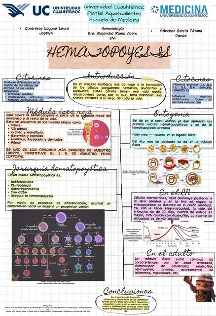 Hematopoyesis