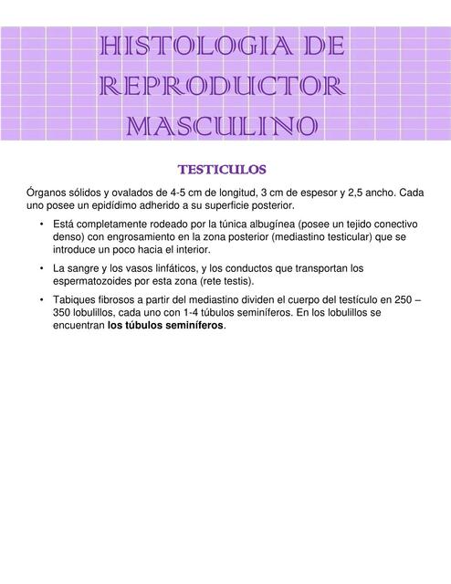 Histología de Reproductor Femenino 