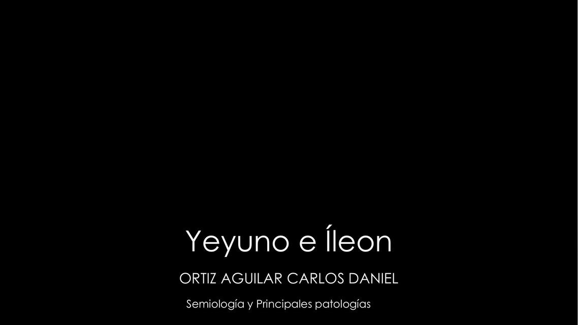 Yeyuno e íleon