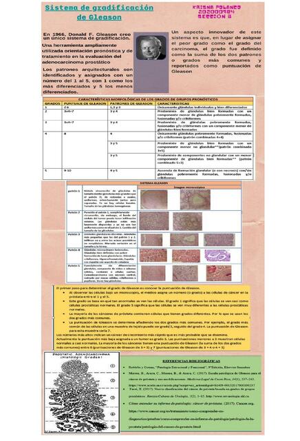 Sistema de Gradificación de Gleason