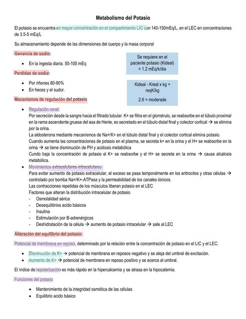 Metabolismo del Potasio