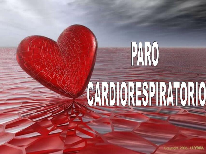 Reanimación Cardio Pulmonar RCP