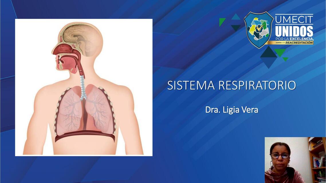 Sistema Respiratorio y Endocrino