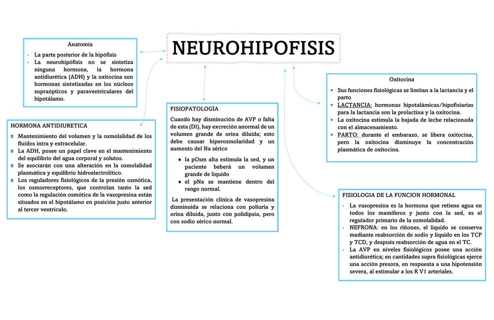 Neurohipófisis 