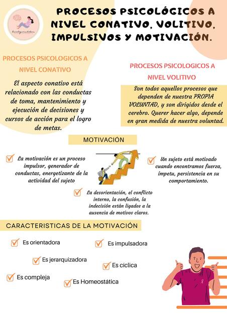 Procesos Psicológicos a Nivel Conativo, Volitivo, Impulsivos y Motivación 