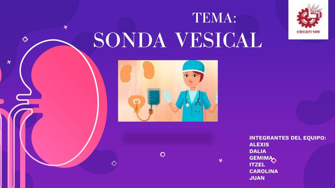 Sonda Vesical 