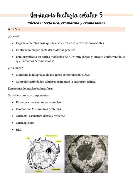 Seminario Biología Celular 5 - Catedra 2 - Medicina UBA