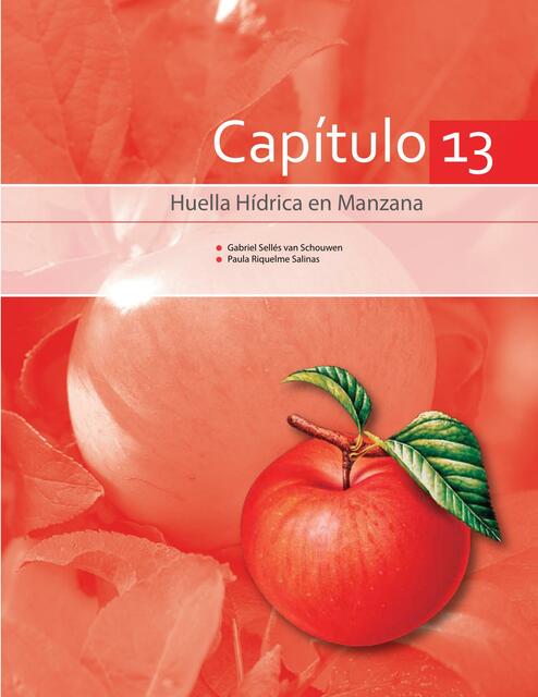 Huella Hídrica en Manzana