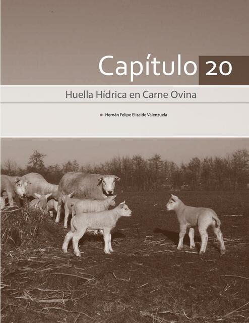 Huella Hídrica en Carne Ovina