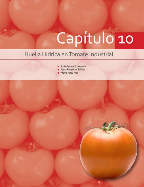 Huella Hídrica en Tomate Industrial