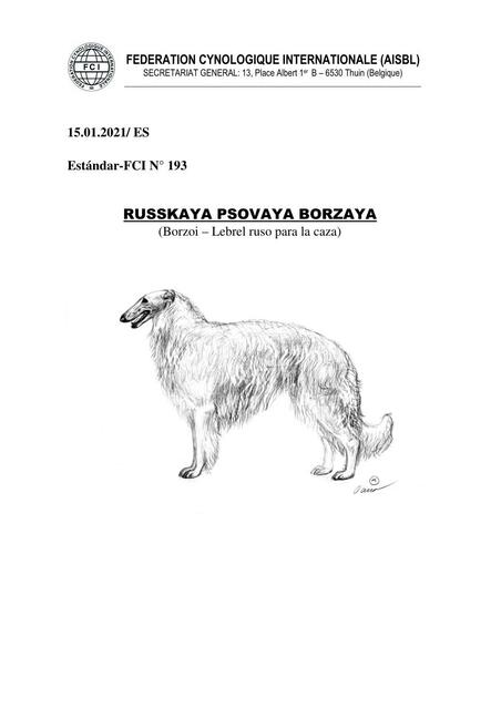 Russkaya Psovaya Borzaya (Borzoi- Lebrel Ruso para la Caza)