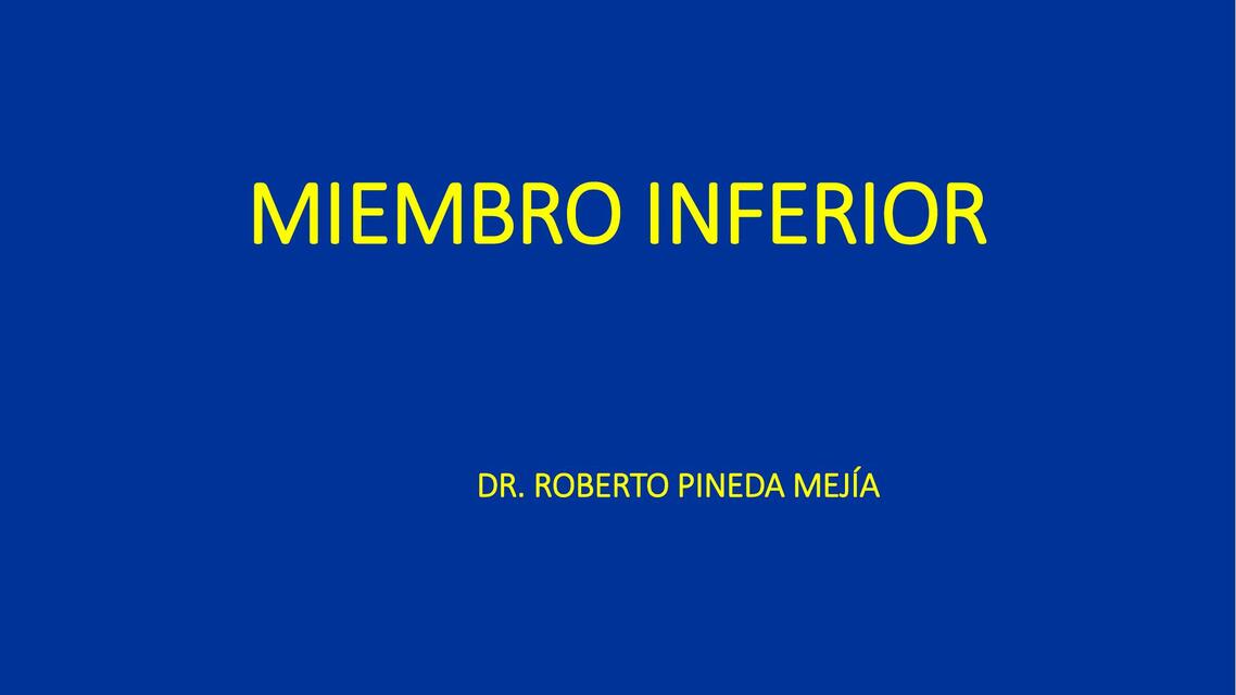 Anatomía Del Miembro Inferior Jazmin Fernanda Cespedes Perez Udocz Anatomía Del Miembro Inferior Jazmin Fernanda Cespedes Perez Udocz