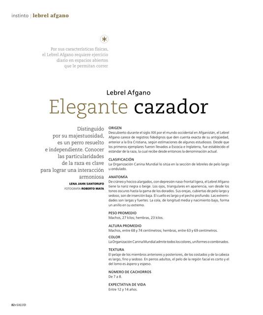 Lebrel Afgano (Elegante Cazador)