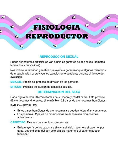 Fisiología Reproductor 