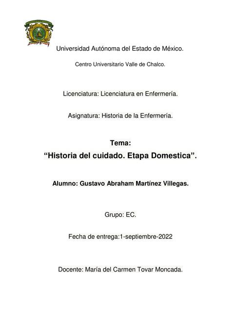 Historia del cuidado. Etapa Domestica