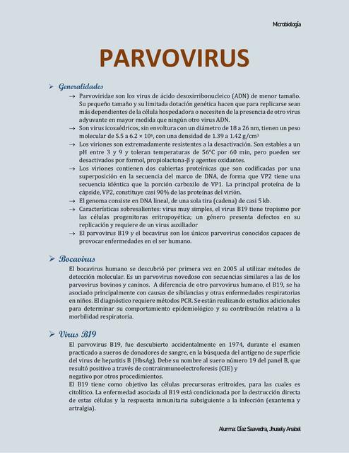 Parvovirus 