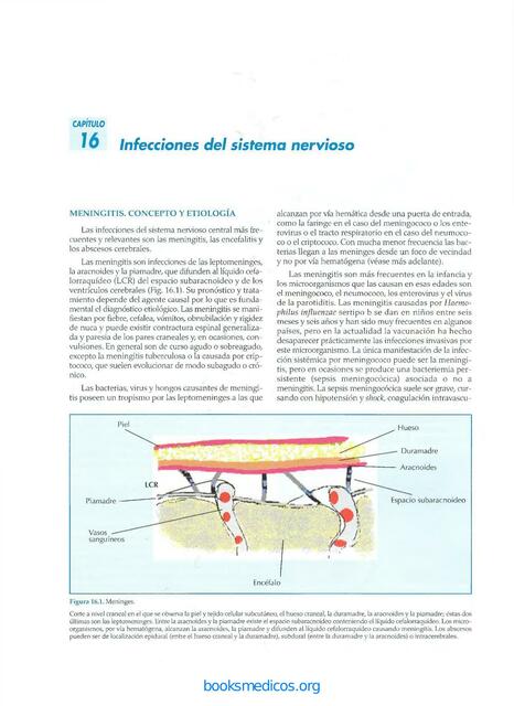 Infecciones del Sistema Nervioso 