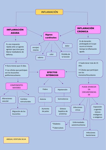 Inflamación Aguda y Crónica