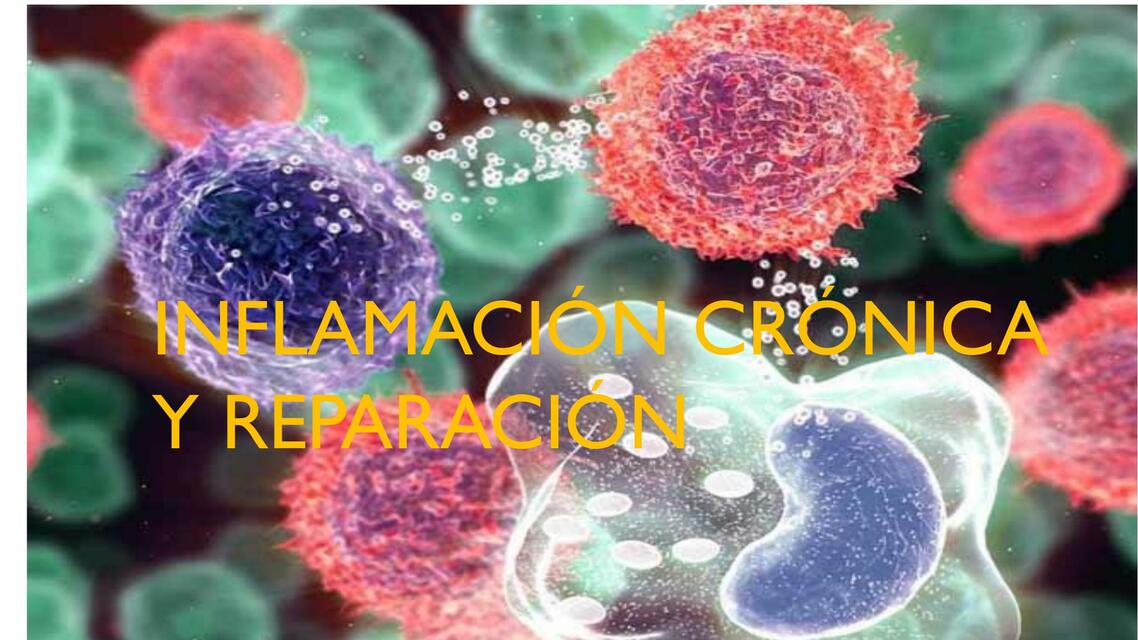 Inflamación Crónica y Reparación