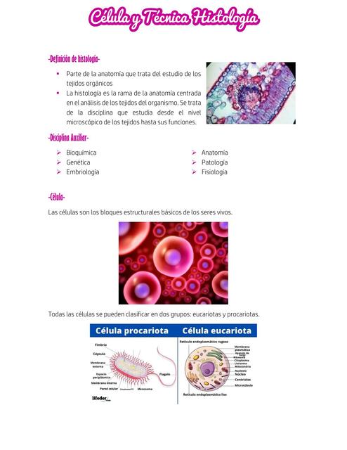 Definición de Histología | Lian Reyes | uDocz