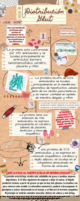 Infografia glut