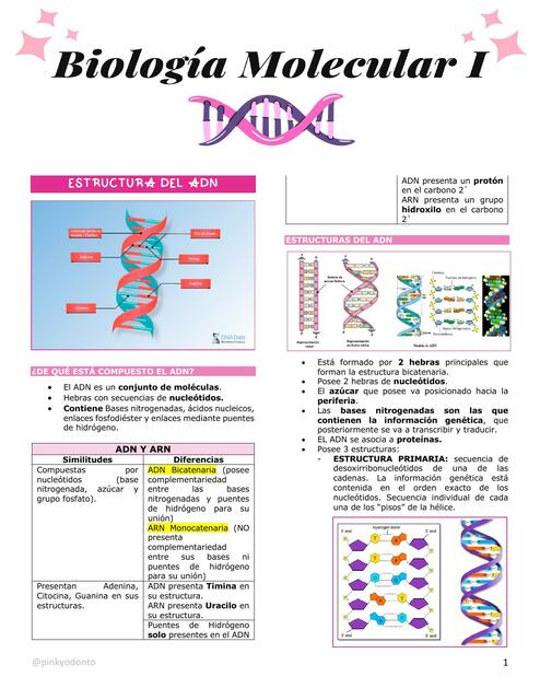 Conceptos Básicos ADN - Biología Molecular