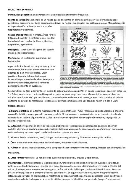 Micosis Profundas 