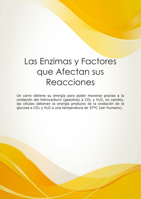 Las Enzimas y Factores que Afectan sus Reacciones