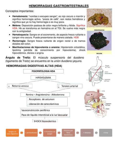 Hemorragias Gastrointestinales 