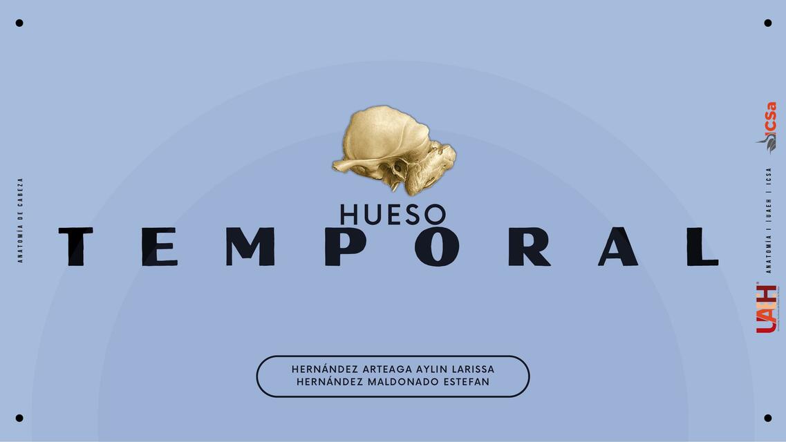 Hueso Temporal