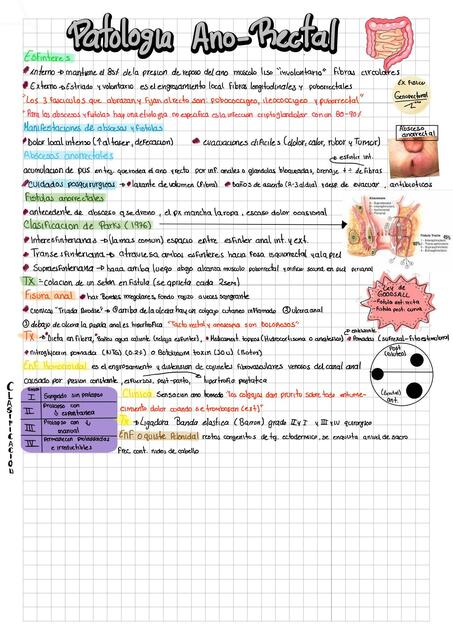 Patología Ano Rectal