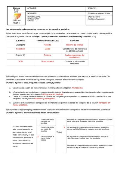 Biología P1C1 2018