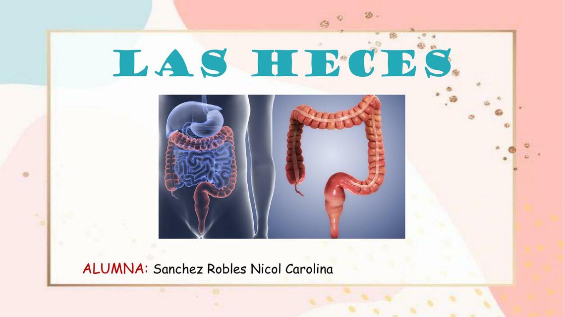 Las Heces 