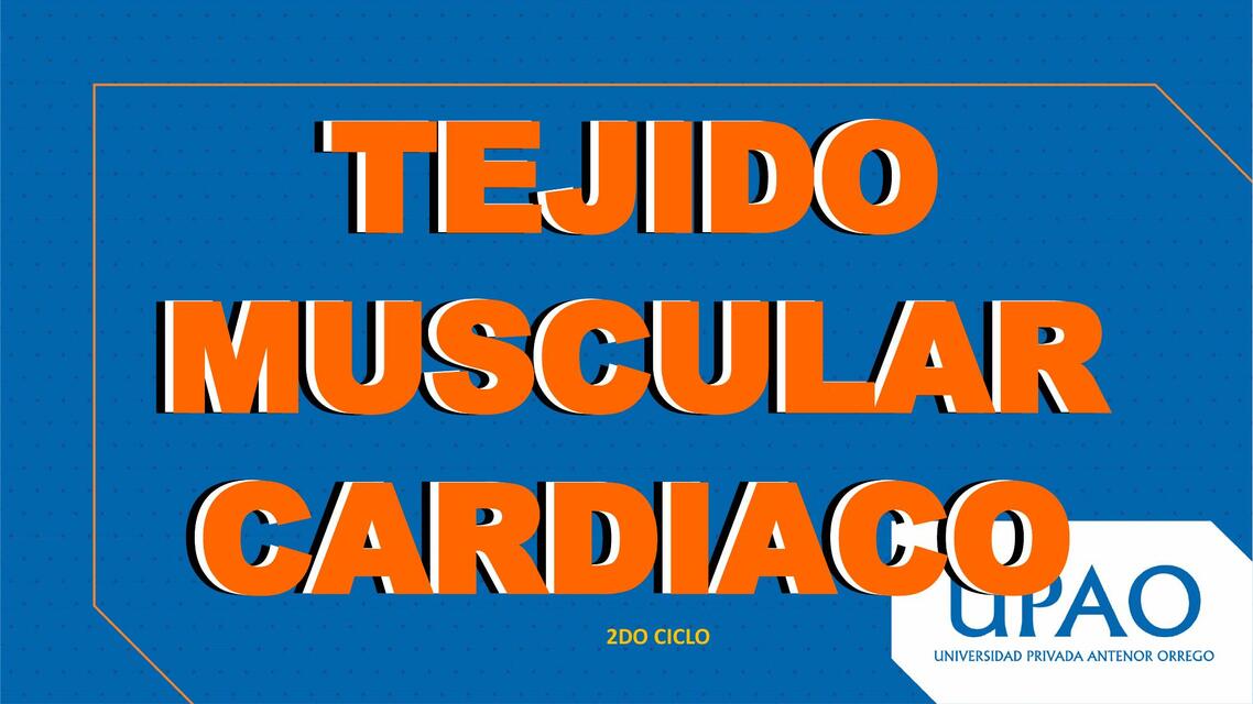 Tejido muscular cardíaco