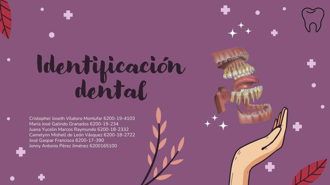 Identificación dental