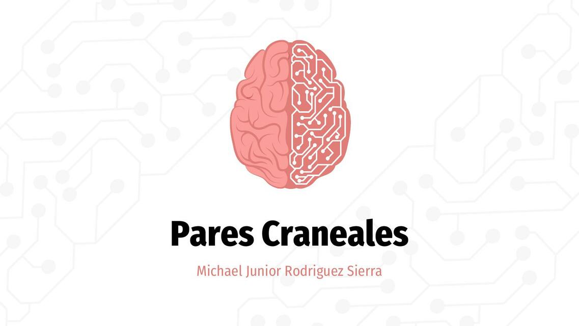 Pares Craneales 