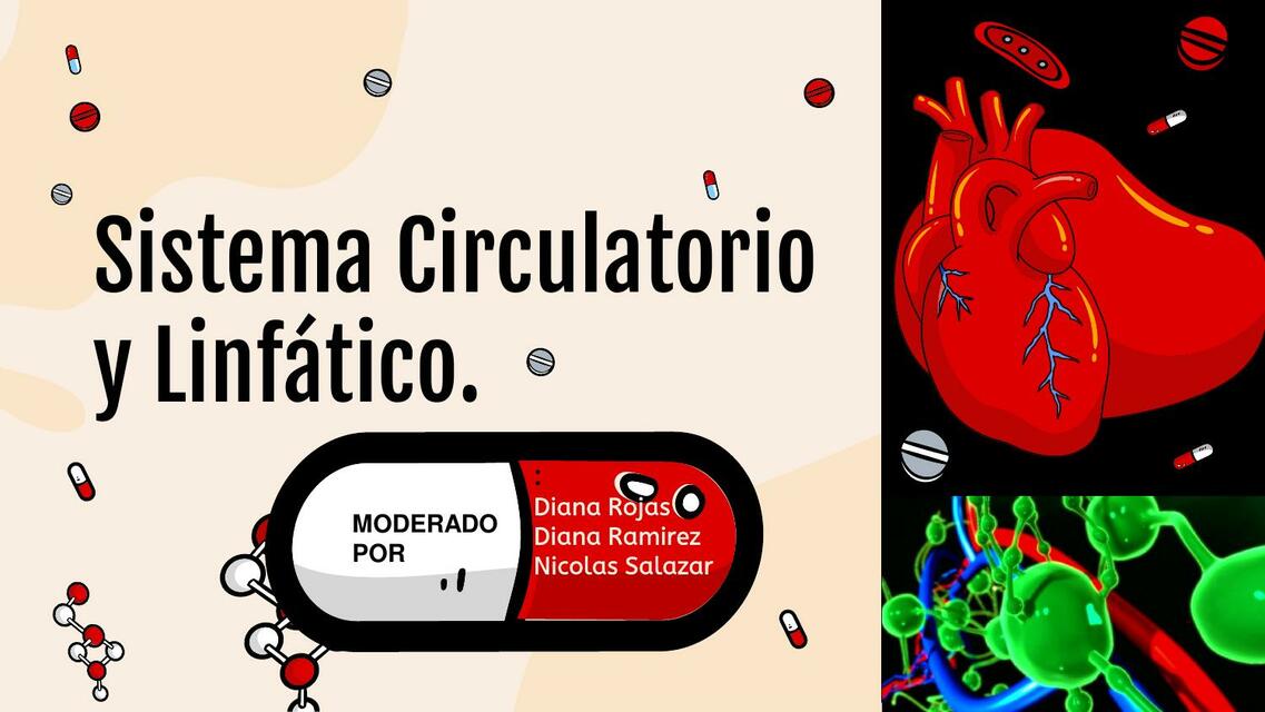 Sistema circulatorio y linfático